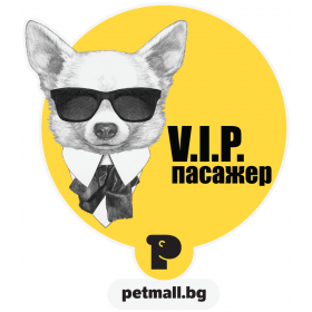Стикер за кола V.I.P. Пасажер Чихуахуа